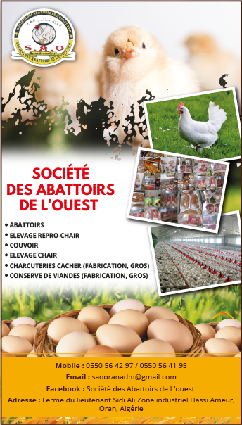 Bannière 57576